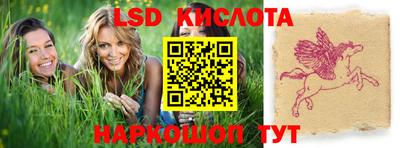 PSILOCYBIN Камышлов