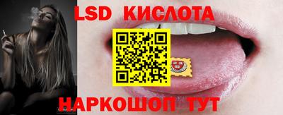 PSILOCYBIN Камышлов