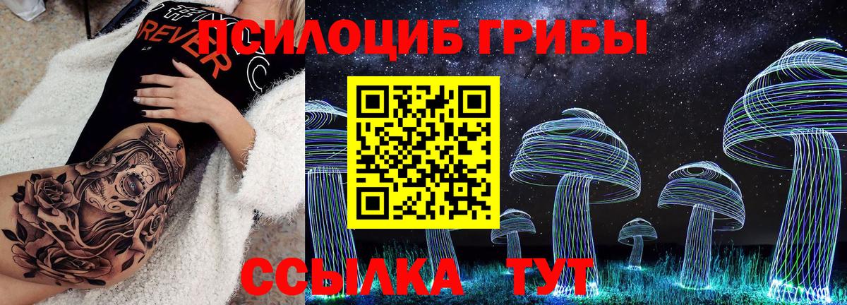 Псилоцибиновые грибы MAGIC MUSHROOMS  Вход с VPN  Кстово 